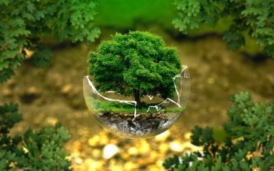 Dal Progetto Destinazione comune: al via la formazione per manutentore del verde rivolta a rifugiati