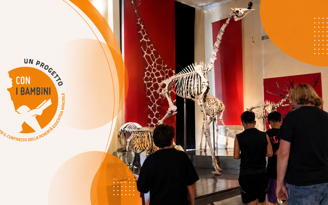 Progetto S.Fi.De: una gita nel cuore di Roma, ragazzi ed educatori al Museo Civico di Zoologia